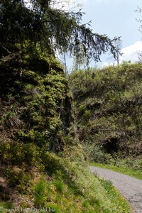 Wanderung nach Bernau-Weierle