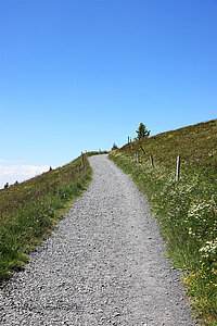 Fußweg auf den Belchengipfel