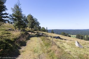 Weidfelder am Ibacher Panoramaweg