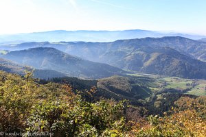 Aussicht von der Thomashütte zum Hochschwarzwald