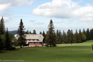 Berggasthof Stübenwasen oberhalb Todtnauberg