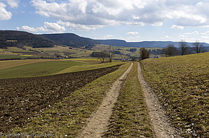 Aussicht vom Schluchtensteig zum Randen