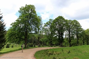 Wanderweg vom Muchenland zum Unterkrummenhof