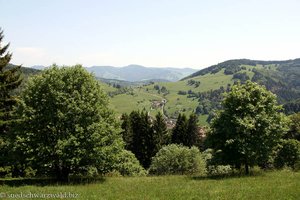 Hurra, der eintönige Wald liegt hinter uns
