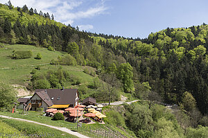 Burgwirtschaft Schauenburg