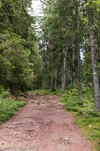 Säbelthomaweg zum Mathisleweiher