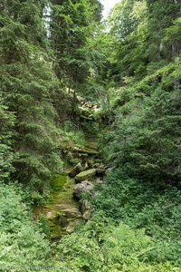 trocken gefallener Tobelbach-Wasserfall