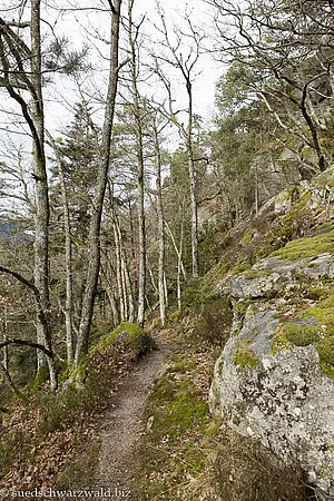 Wanderung auf dem Felsenweg Hornberg
