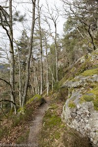 Wanderung auf dem Felsenweg Hornberg