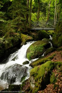 Höllbachwasserfall bei Görwihl