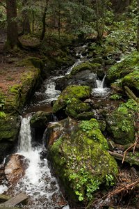 Kleiner Wasserfall in der Ravennaschlucht