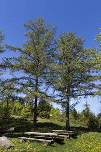 Grillplatz beim Waldmatter Kreuz