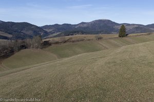 Aussicht vom Holzer Kreuz zum Belchen
