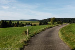 Murgtalpfad zwischen Lochhäuser und Herrischwand