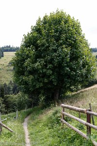 Wanderweg von der Kälbelescheuer nach Hinterheubronn