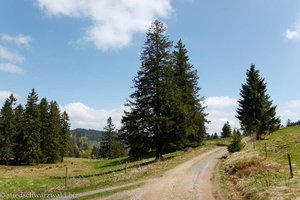 Wanderweg zum Kohlplatz