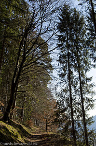 Satteleisteig zwischen Rechen und Murgleiter-Portal