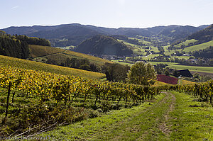 Aussicht vom Wissereck nach Glottertal