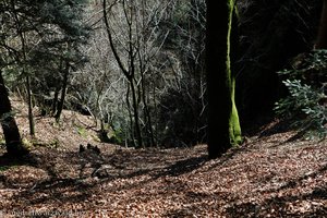 Loch hinab in die Wehraschlucht