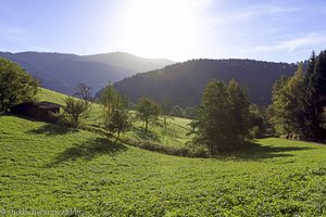 Morgenstimmung im Gutachtal