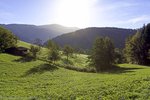 Wanderung von Gutach auf den Farrenkopf