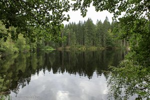 Mathisleweiher zwischen Hinterzarten und Bärental
