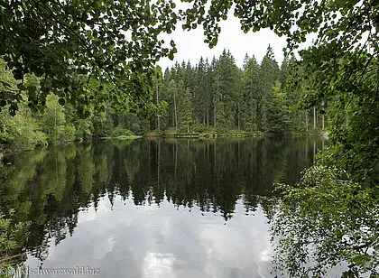 Wanderung zum Mathisleweiher