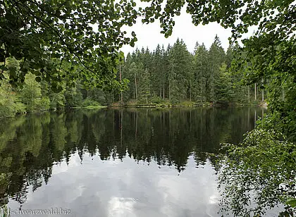 Wanderung zum Mathisleweiher