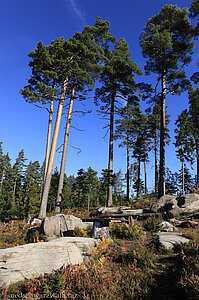 Felsengruppe Priorstein