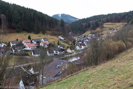 Blick über Schönmünzach