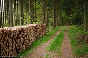 direkter Weg zum Albsteg