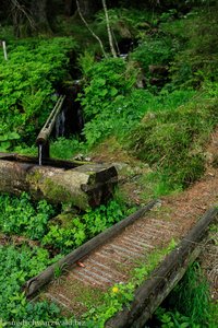 Brunnen und Brückle im Muchenland