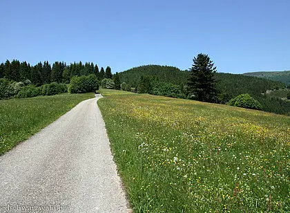 Abstieg über den Hohkelch nach Neuenweg