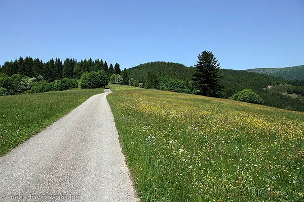 Abstieg über den Hohkelch nach Neuenweg