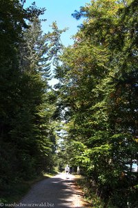 Seeweg von der Staumauer nach Aha