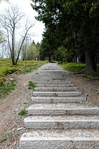 Wanderweg vom Seebuck hinab zur Seebuckhütte