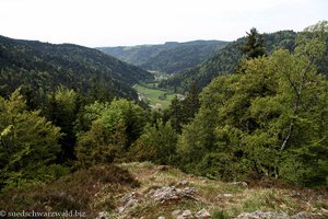 Blick über das Albtal und Immeneich