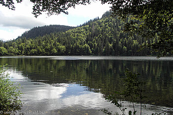 Blick über den Feldsee