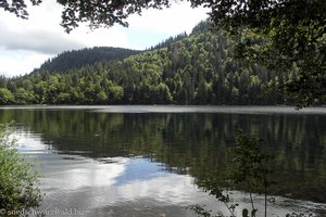 Blick über den Feldsee