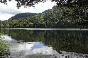 Blick über den Feldsee