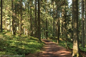 Wanderweg von der Bankenhöhe zum Titisee