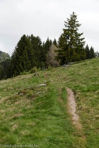 Wanderung auf dem Bernauer Panoramaweg