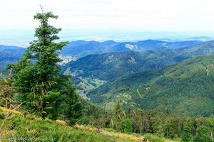 Blick vom Belchen ins Münstertal