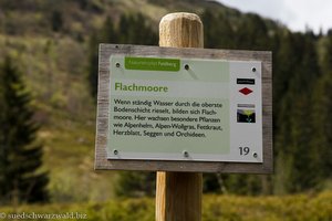 Infoschilder auf dem Naturlehrpfad Feldberg