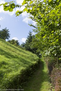 Wanderweg von Forbach auf den Latschigfelsen