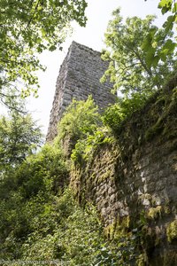 Teile der Festungsmauer und südlicher Bergfried vom Schloss Roggenbach