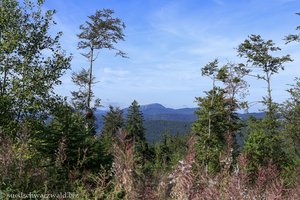 Ausblick zum Belchen