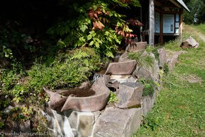 Wasserspiel am Murgtalpfad