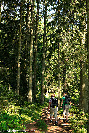 Waldpfad zwischen Ödenbach und dem Heiligenbrunnen
