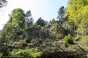 Felsformation bei Hinterzarten nahe dem Kreuz Vincenz Zahn